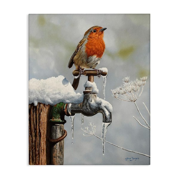 Stupell Industries Robin Bird and Winter Scene by Steve Burgess 1-Piece Unframed Graphic Print Animal Poster Art Print 20 in. x 16 in.