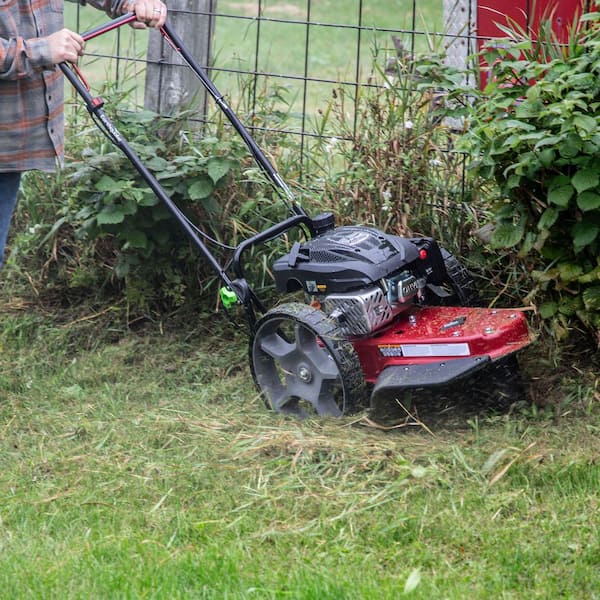 Earthquake Walk-Behind String Mower, Hurricane Cutting Head, 160cc