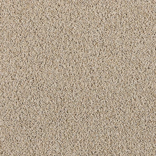 Home Decorators Collection Radiant Retreat III Serene Gray 73 oz. Polyester Textured Installed Carpet