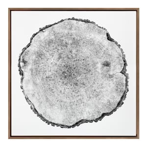 Tree Rings by F2Images Framed Nature Canvas Wall Art Print 30.00 in. x 30.00 in. .
