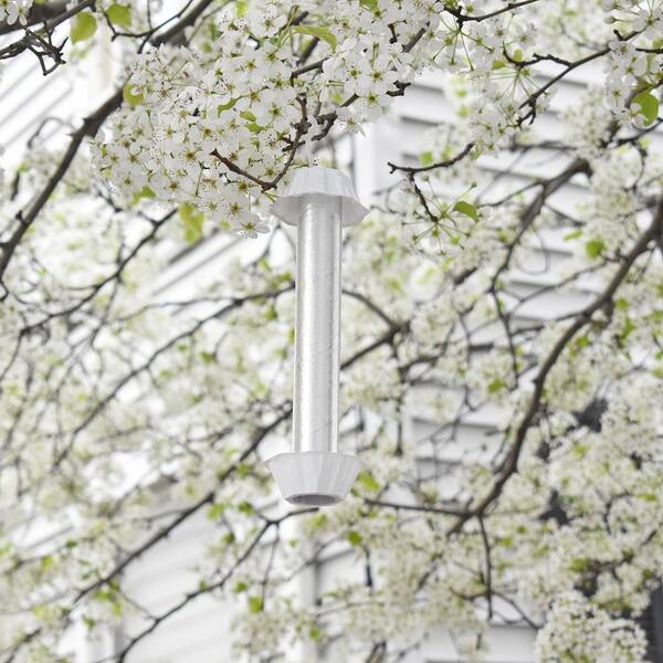 my dog ate a fly sprayed with raid