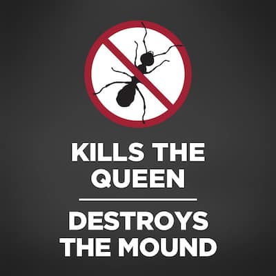 dejta ful kille queen