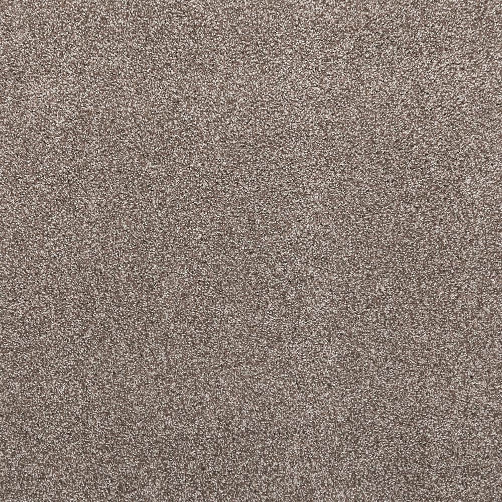 8 in. x 8 in. Texture Carpet Sample - Plush Dreams III -Color Hushed price history on PriceWatchPro