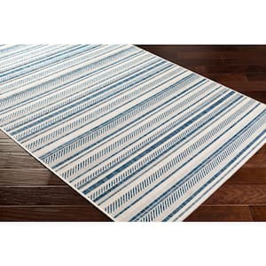 Front Porch Rug 27.5x43.3inch Blue and White Striped Outdoor Rug