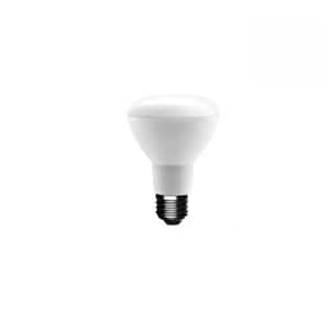 50-Watt Equivalent BR20 Dimmable LED Light Bulb Daylight (24-Pack)