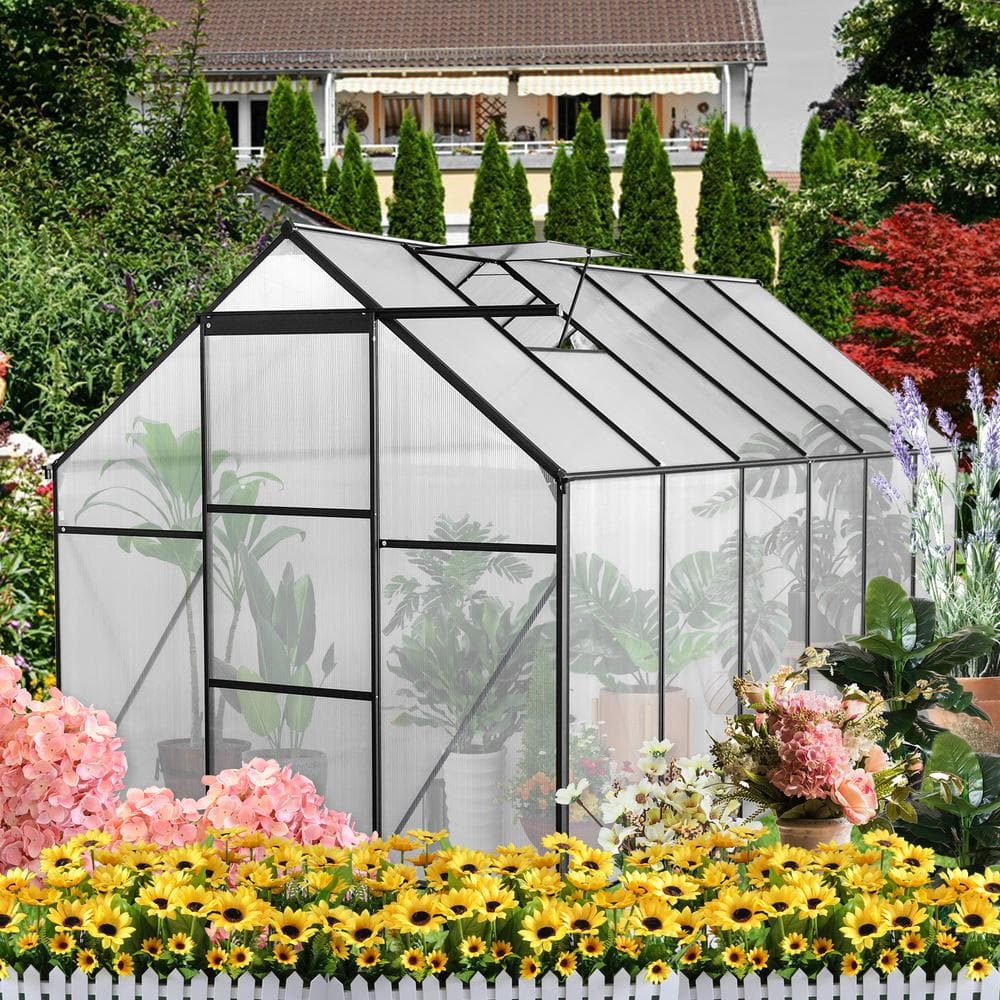 Black 6x12 FT Polycarbonate Walk-In Greenhouse with Aluminum Frame