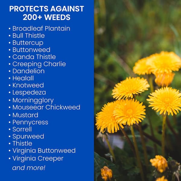 29 oz. Ready-to-Spray Season Long Weed Control for Lawn