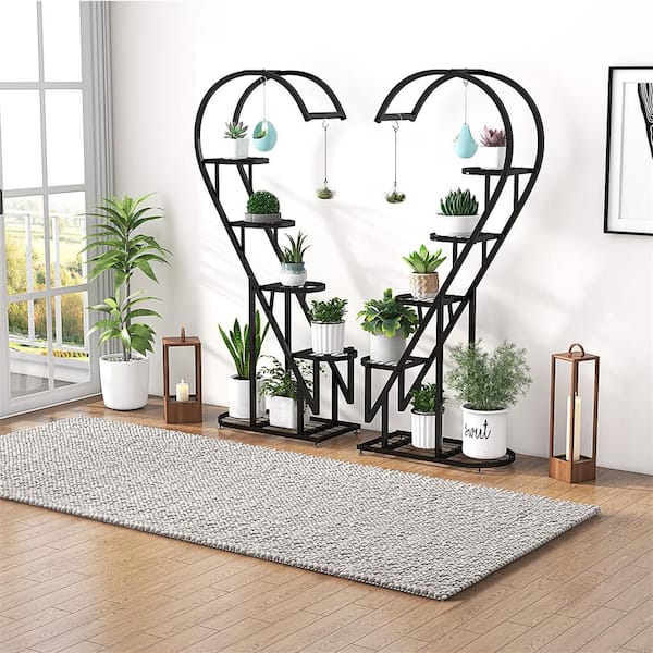 money tree cerca de mi Braided Money Tree  Easy-Care Indoor Plant for Prosperity