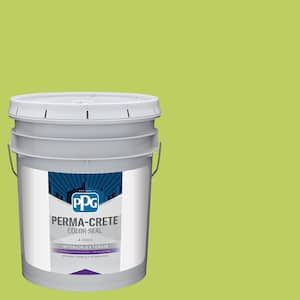 Perma Crete Color Seal 5 gal. PPG1219 5 Boogie Blast Satin