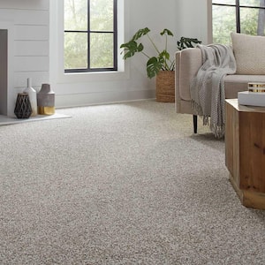 Barx II  - Mineral - Gray 56 oz. Triexta Texture Installed Carpet