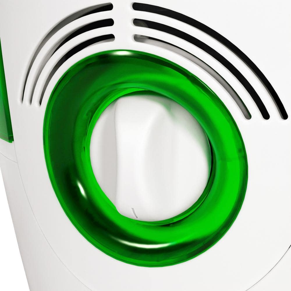 Ozark White and Green Filter-Free Steam Humidifier