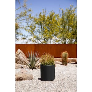 Demi 12 in. Round Black Plastic Pot Planter (2-Pack)