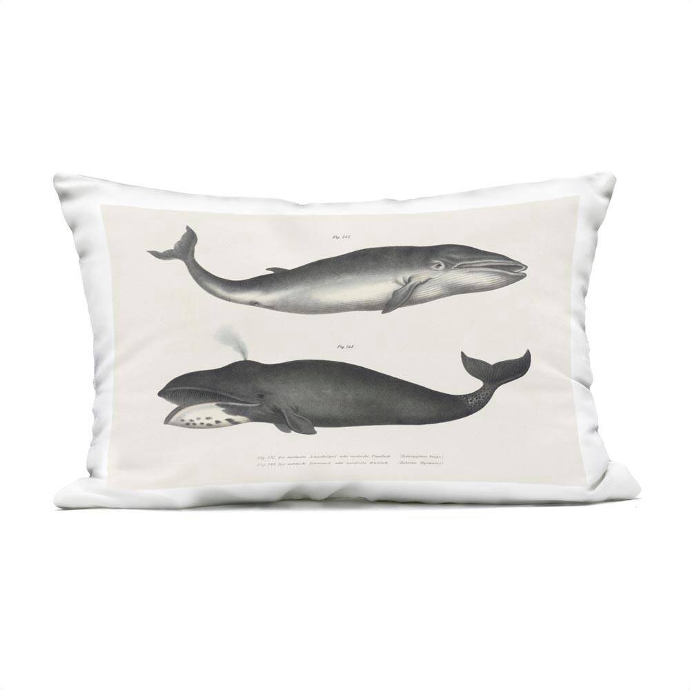 Vintage Whale Study Diagrams Grey Rectangular Outdoor Throw Pillow price history on PriceWatchPro