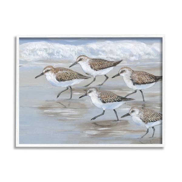 The Stupell Home Decor Collection Sandpiper Bird Flock Marching Beach Coast Waves by Tim OToole Framed Animal Art Print 30 in. x 24 in.