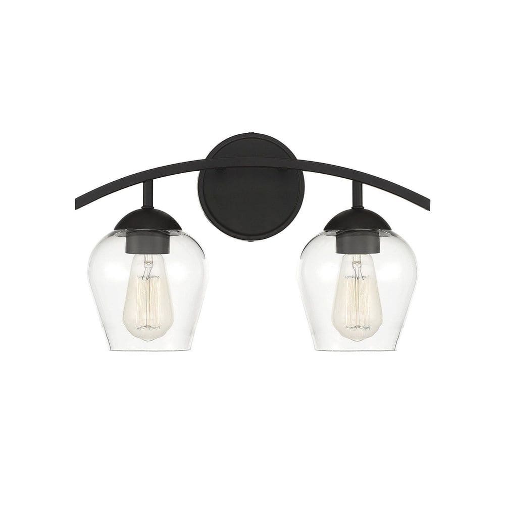 16 in. W x 9.87 in. H 2-Light Matte Black Bathroom Vanity Light with Clear Glass Shades price history on PriceWatchPro