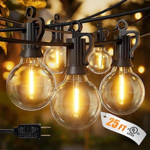 12 Light 25 ft. Black Outdoor Dimmable Hardwired Patio String Light With Edison G40 LED included