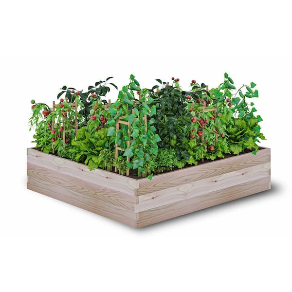 cedarcraft Beautiful. Functional. Sustainable. 45 in. x 45 in. x 10.5 in. H Ground Cedar Planter