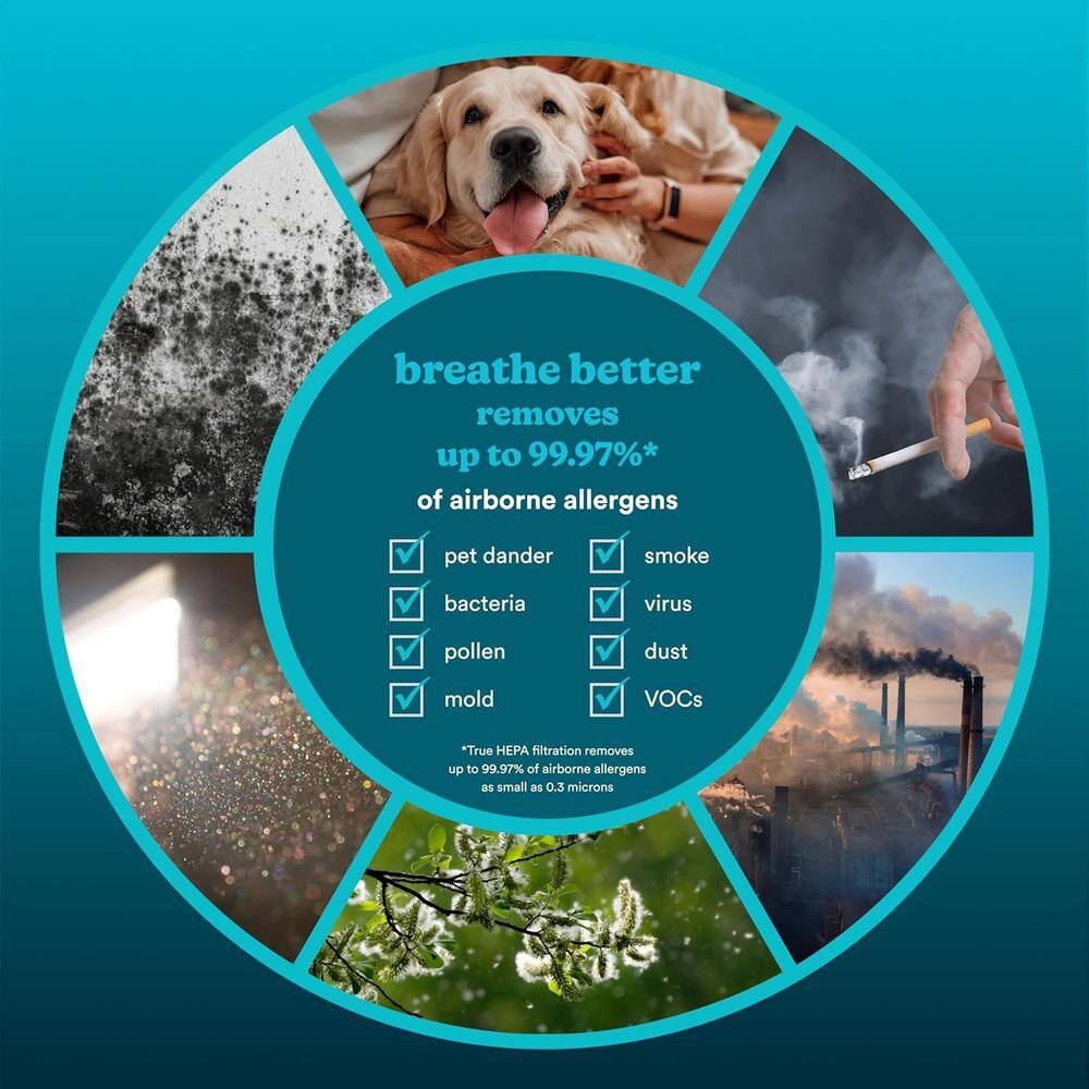 White Smart HEPA Air Purifier with UV-C and Voice Control