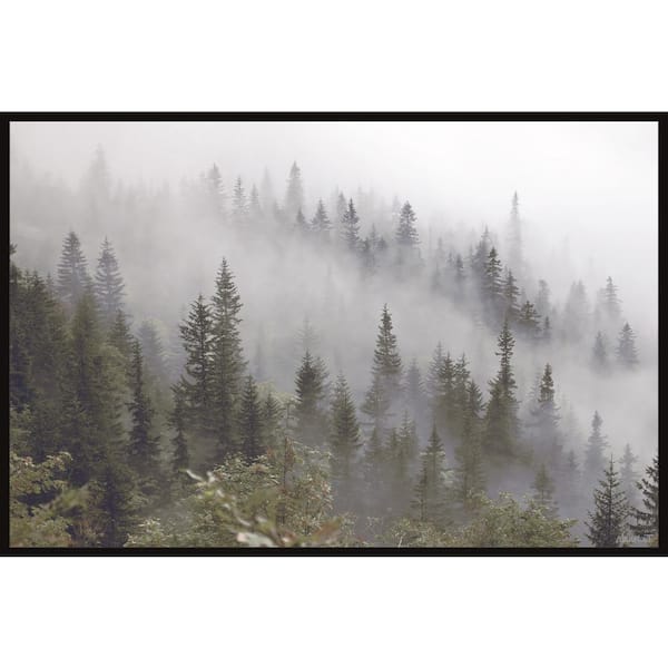 Unbranded "Misty Mountain" by Marmont Hill Floater Framed Canvas Nature Art Print 12 in. x 18 in.