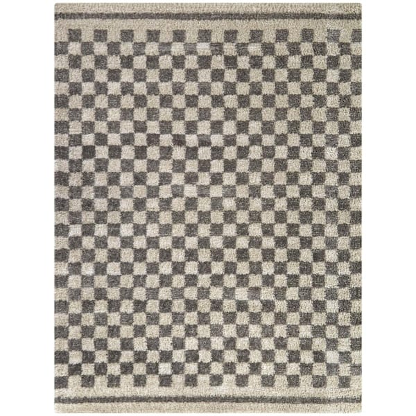 Chance Grey 8 ft. x 10 ft. Checkered Area Rug