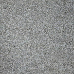 Happy Chance  - Lucky - Beige 30 oz. SD Polyester Texture Installed Carpet
