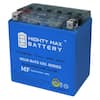 MIGHTY MAX BATTERY 12-Volt 14 Ah 230 CCA GEL Rechargeable Sealed Lead ...