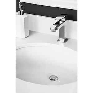 19 in. Oval Undermount Bathroom Sink in White
