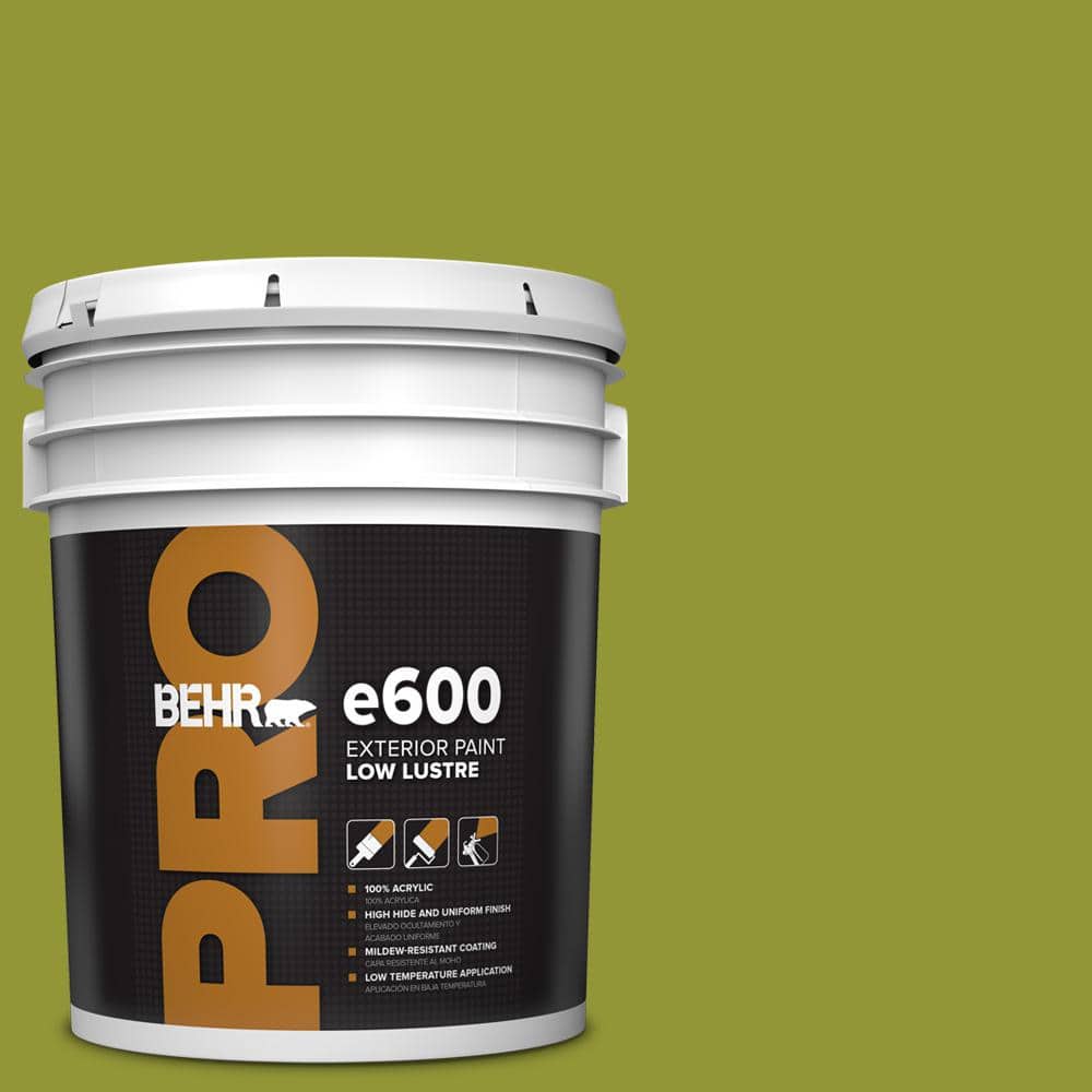 5 gal. #S-H-410 Appletini Low Luster Exterior Paint price history on PriceWatchPro