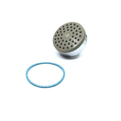 2.75 in. Dia Showerhead with Gasket
