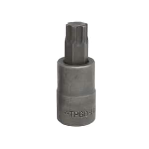 Torx Plus Bit