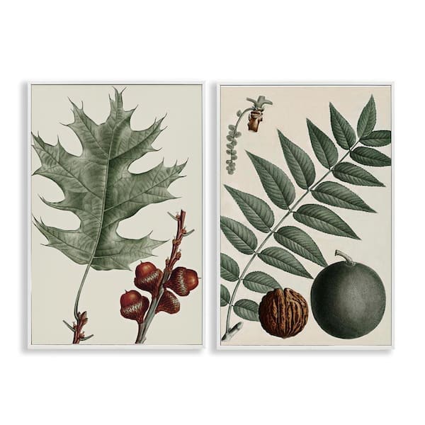 Stupell Industries Tree Leaves & Nuts by Graffitee Studios 2-Pieces White Framed Nature Giclee Art Print 24 in. x 16 in.