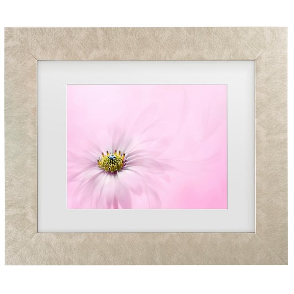 Trademark Fine Art Jacky Parker Softness Matted Framed Photography Wall Art 19.5 in. x 23.5 in.