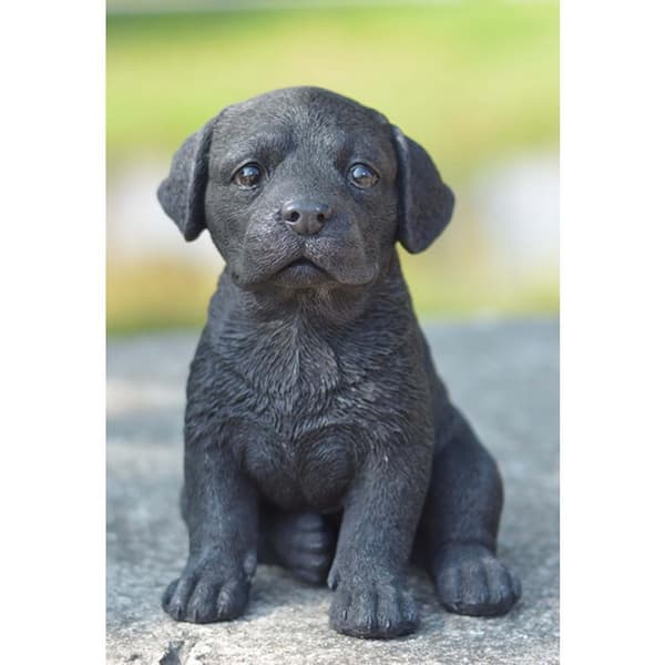 HI-LINE GIFT LTD. Black Labrador Puppy 87771-R - The Home Depot