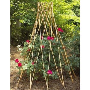 60 in. H Carbonized Skinless Peeled Willow Round Tepee Trellis