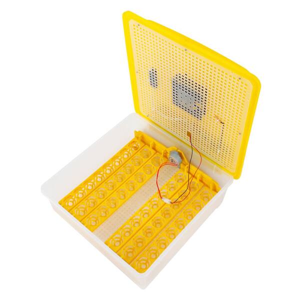 Unbranded 48-Egg Home Use Automatic Turning Poultry Incubator (110V) US Standard Yellow & Transparent