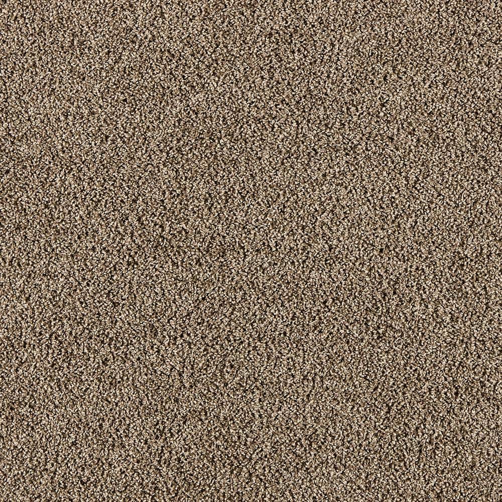 8 in. x 8 in. Texture Carpet Sample - Radiant Retreat II  - Color Graphite price history on PriceWatchPro