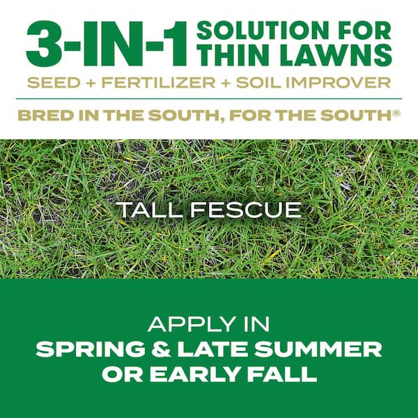 Turf Builder Thick'R Lawn Southern Gold Blend for Tall Fescue Lawns 12 lbs. Grass Seed, Fertilizer and Soil Improver