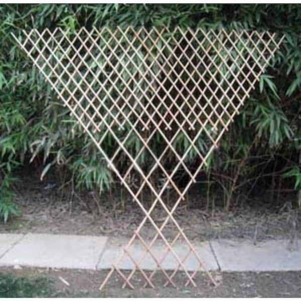 Peeled Willow 60 in. H x 24 in. W Double Fan Trellis