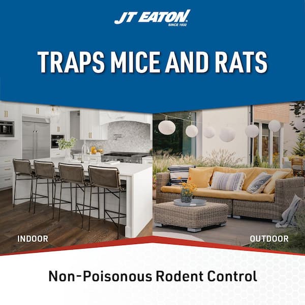 Stick-Em Rat and Mouse Size Glue Trap Double Trap (24-Pack)