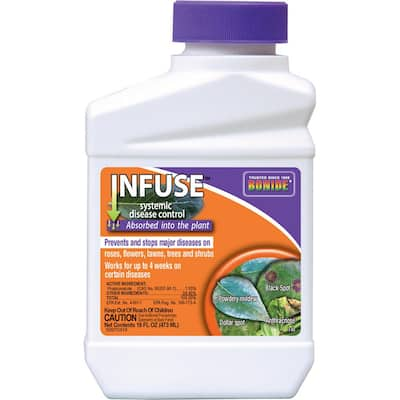 bonide disease fungicide control concentrate oz infuse systemic copper