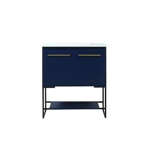 Magic Home 30 in. Freestanding Bathroom Vanity Modern Storage Cabinet with  Double-Sided Storage Shelf, Single Basin Sink, Blue CS-W50921982 - The Home  Depot