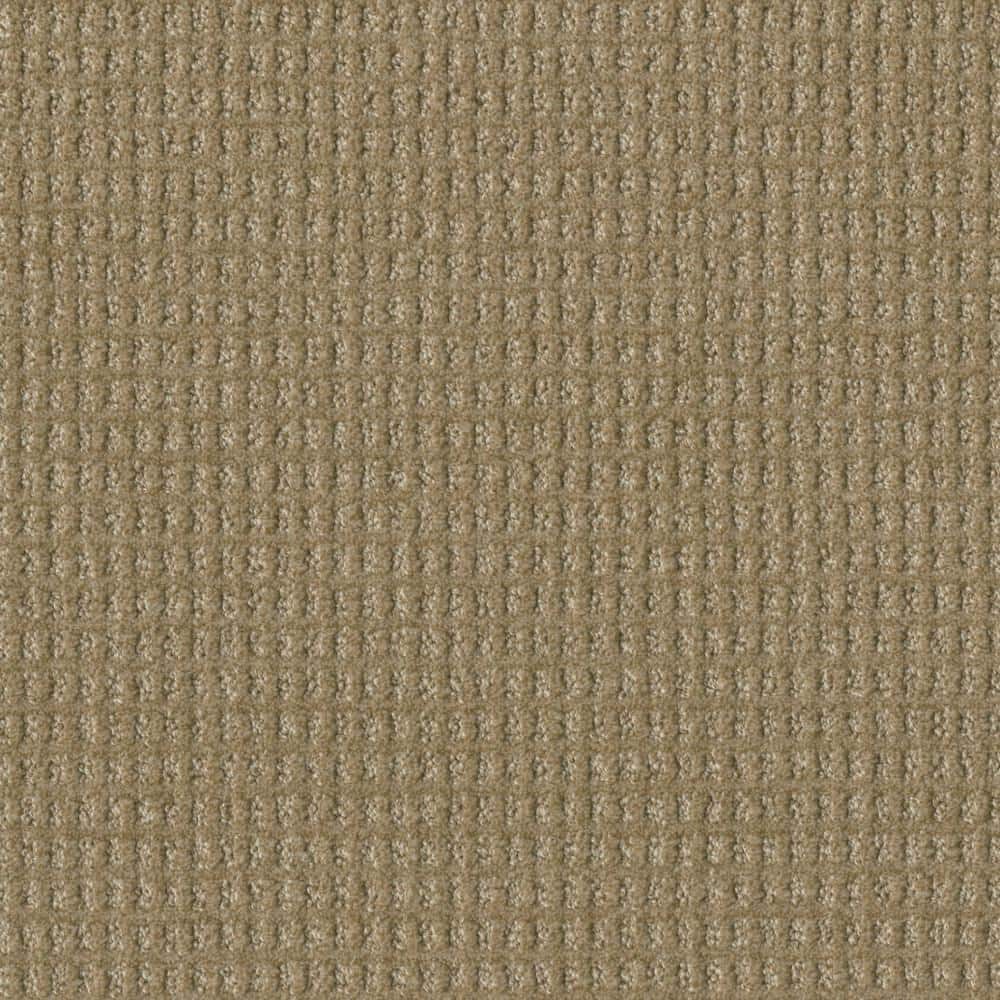 8 in. x 8 in. Pattern Carpet Sample - Amaryllis - Color Celica price history on PriceWatchPro