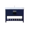 bathroom-vanities-with-tops-th120248blbs-66.2