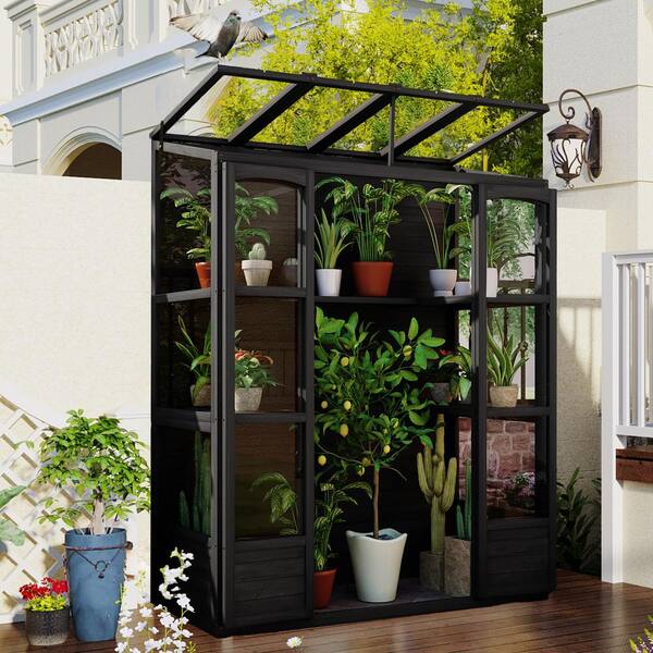Unbranded - 57.9 in. W x 29.1 in. D x 78.1 in. H Black Wood Greenhouse with 4-Independent Skylights and 2-Folding Middle Shelves