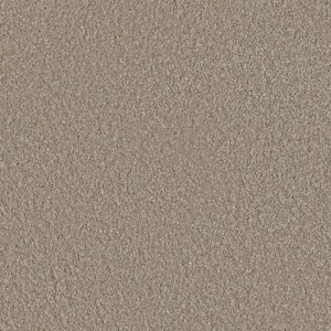 Blissful II - Cheerful Gray - 60 oz. SD Polyester Texture Installed Carpet