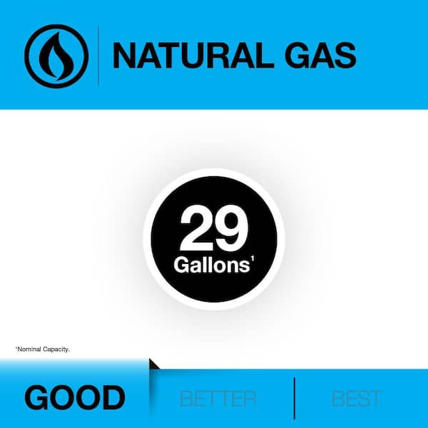 Performance 29 Gal. Tall 6-Year 32,000 BTU Manufactured Housing Convertible Natural Gas/Liquid Propane Water Heater