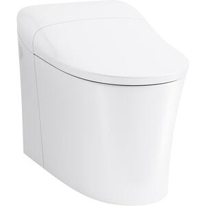 Eir 1-Piece 0.8 or 1.0 GPF Dual Flush Elongated Toilet in White, Seat Included