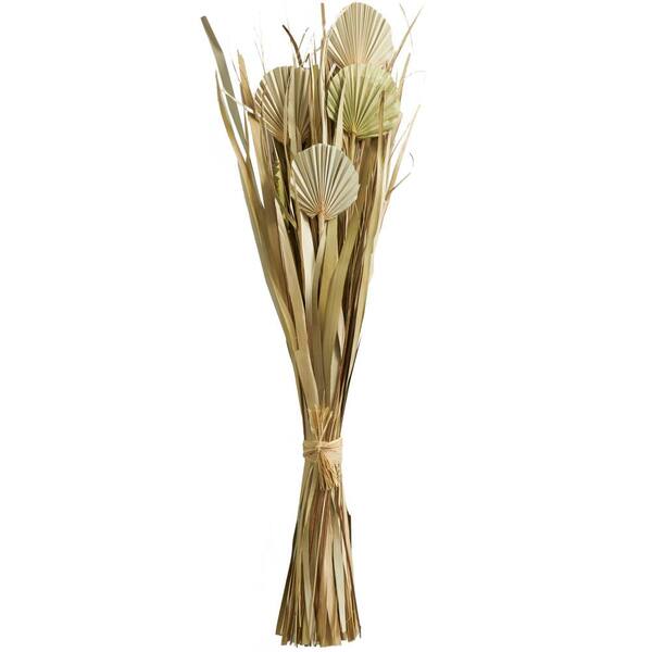 Litton Lane 40 in. Tall Bouquet Grass Natural Foliage with Fan Like ...