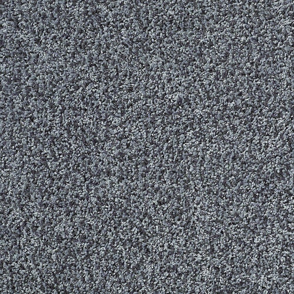 8 in. x 8 in. Twist Carpet Sample - Charming - Color Weathered Moss price history on PriceWatchPro