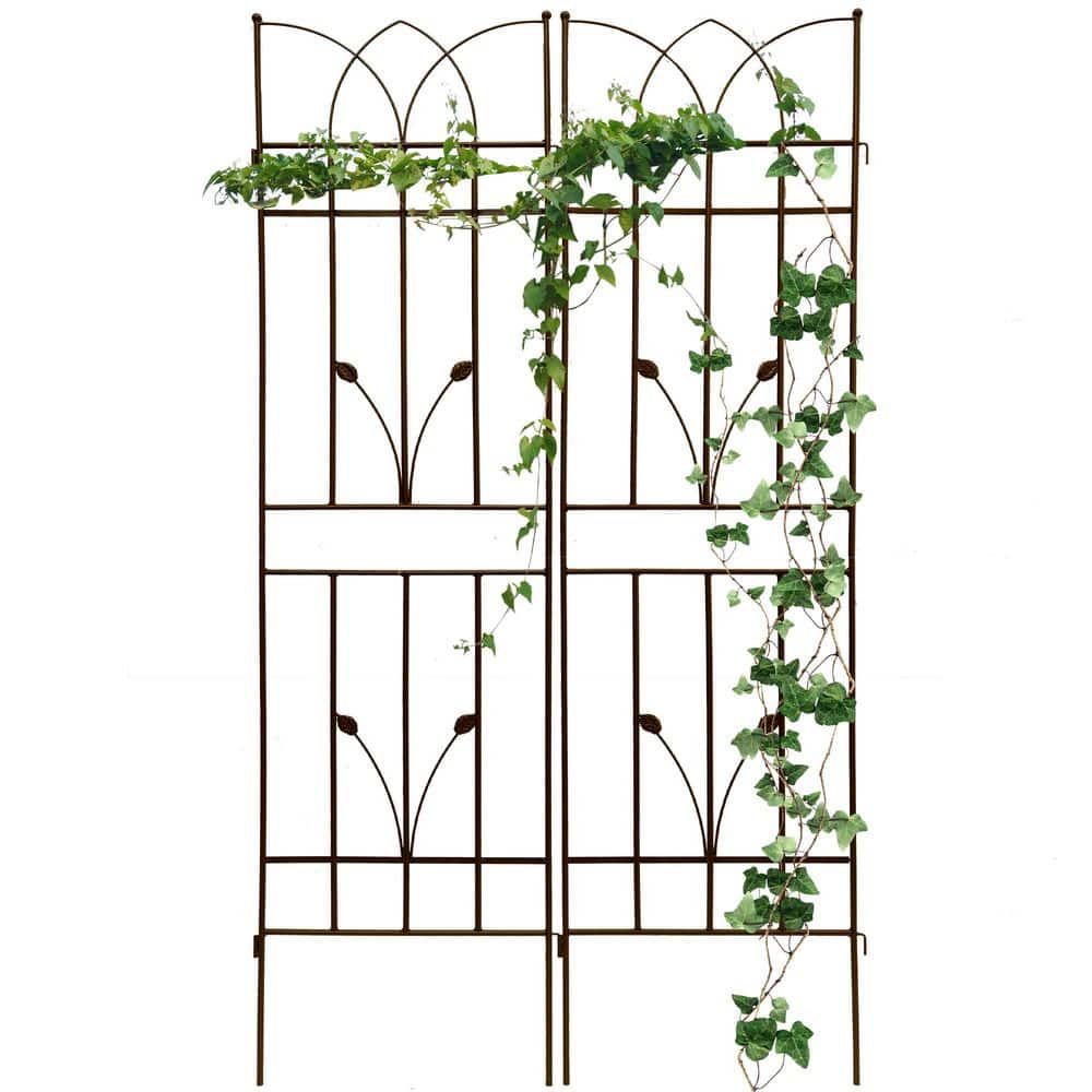 "Plant Trellis for Climbing Plants, 17.7""L x 71""H Garden Metal Trellis for Vine Flower Plant Support(Brown, 2 Pack)" price history on PriceWatchPro